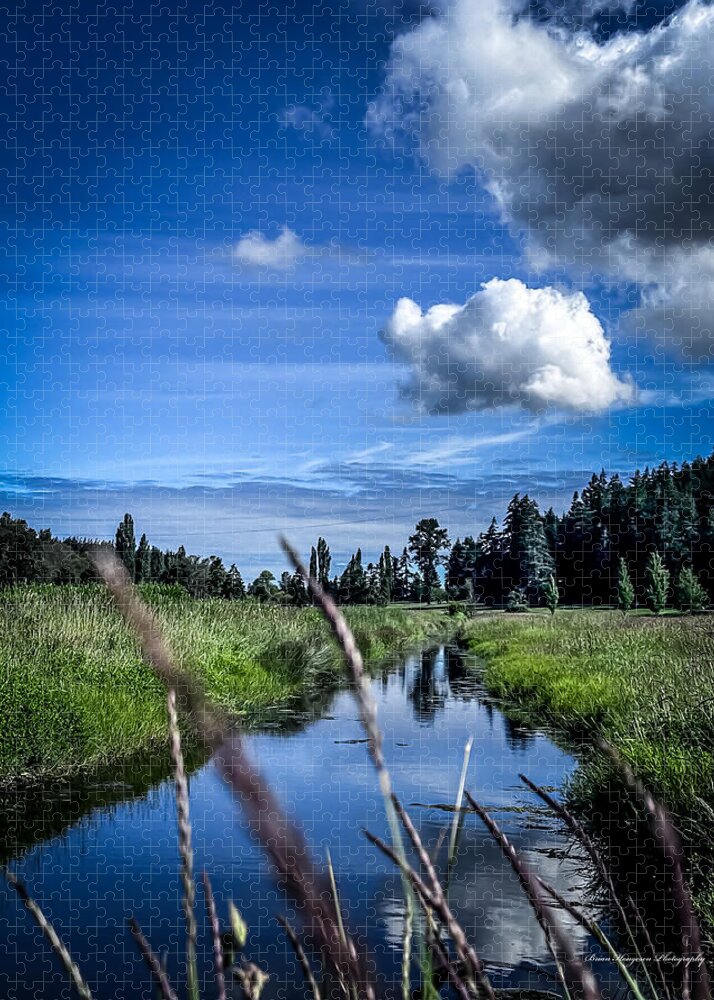 Reflection 1 - Puzzle