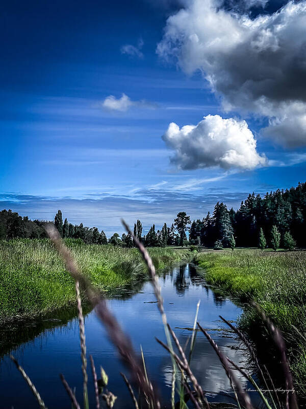 Reflection 1 - Art Print
