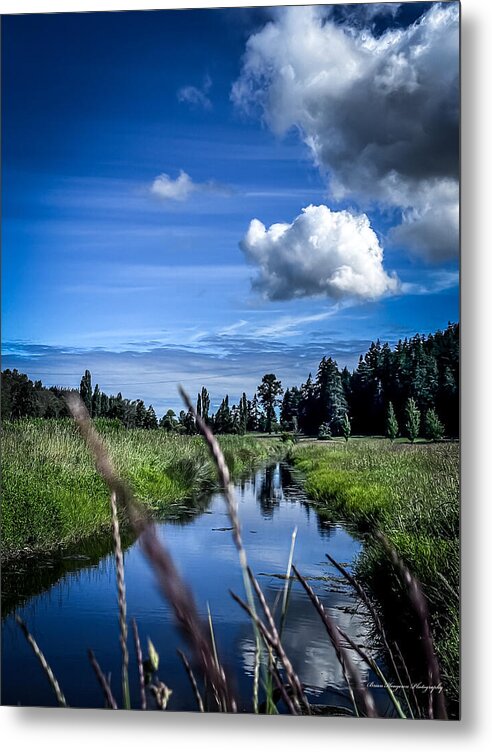 Reflection 1 - Metal Print