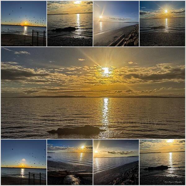 Sunsets 1 - Art Print