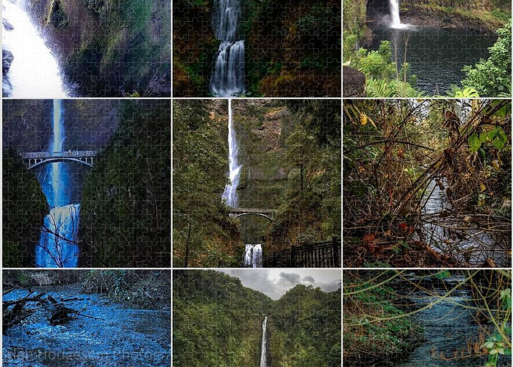 Water 1 - Puzzle