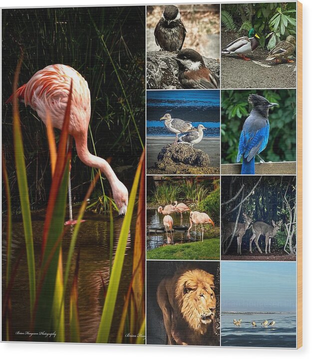 Wild life 1 - Wood Print