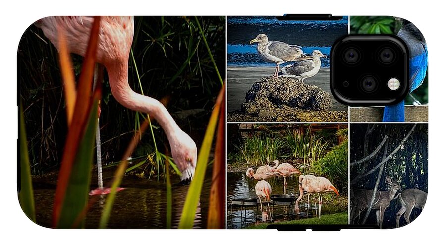 Wild life 1 - Phone Case