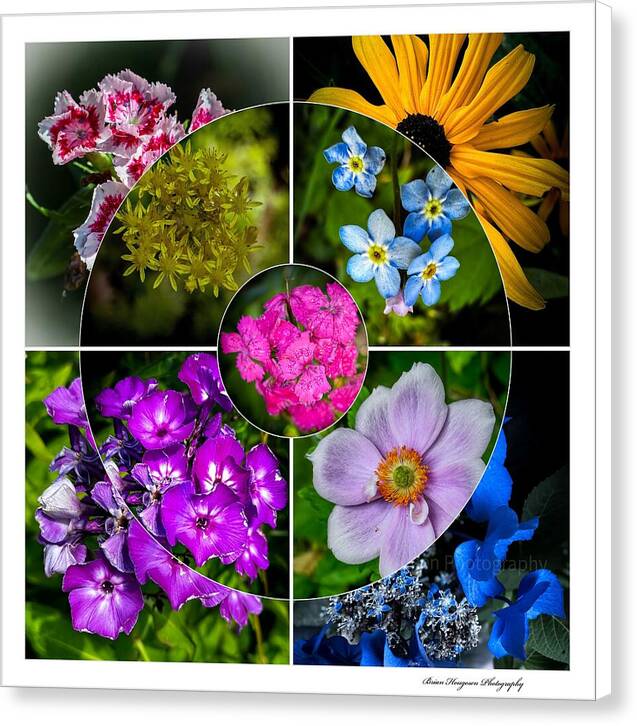 Flowers 2 - Canvas Print