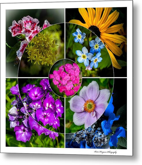 Flowers 2 - Metal Print