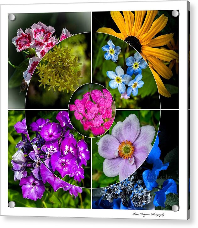 Flowers 2 - Acrylic Print