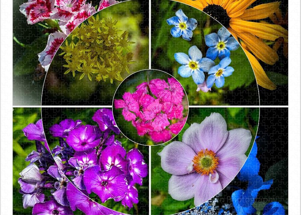Flowers 2 - Puzzle