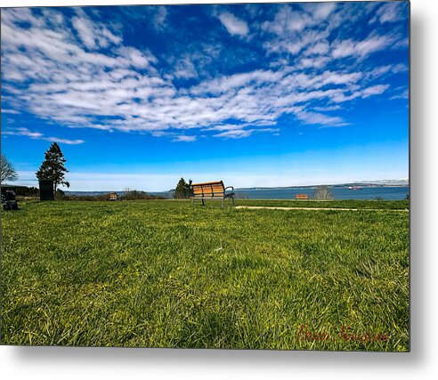 Park 2 - Metal Print