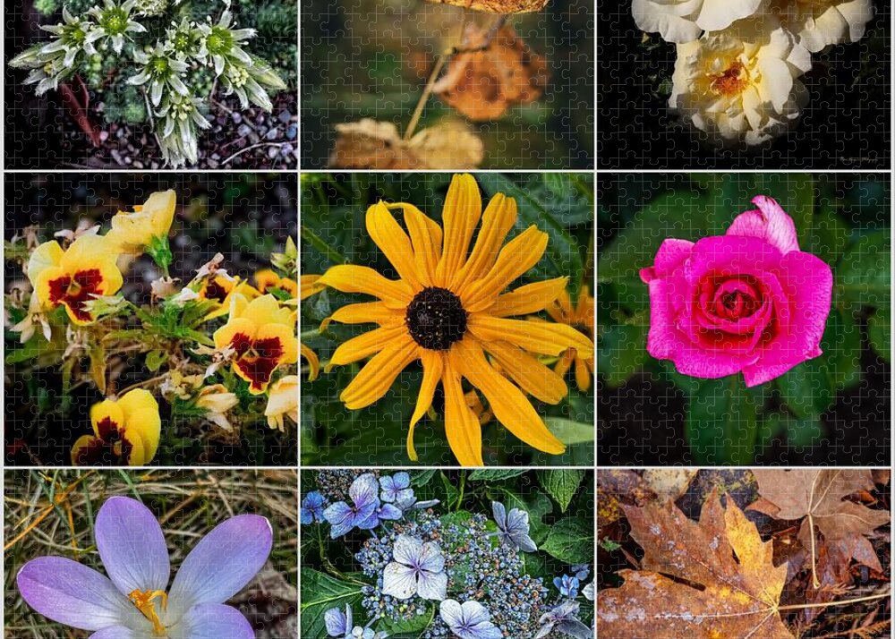 Flowers 5 - Puzzle