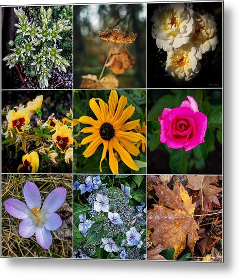 Flowers 5 - Metal Print