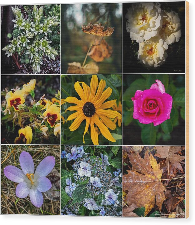 Flowers 5 - Wood Print