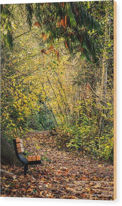 Autim walk - Wood Print