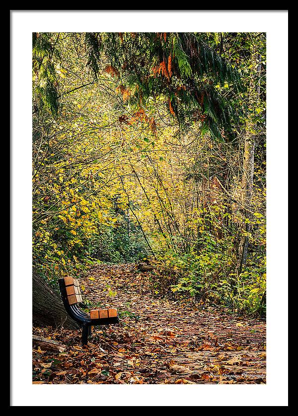 Autim walk - Framed Print
