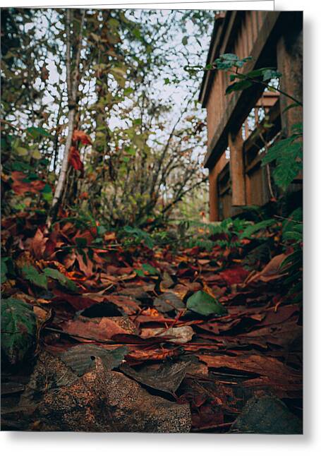 Autum leaves - Greeting Card