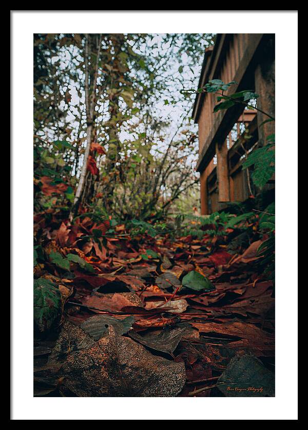 Autum leaves - Framed Print
