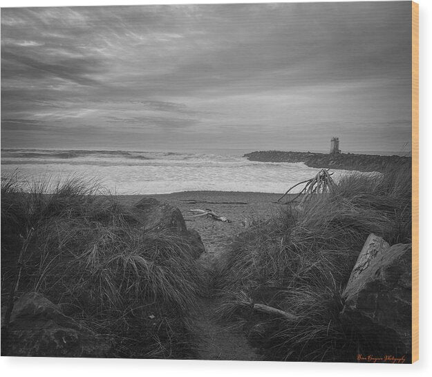 Black and white walk to the beach - Wood Print