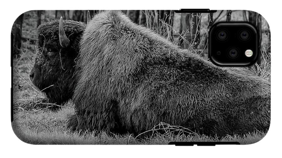 Buffalo black and white - Phone Case