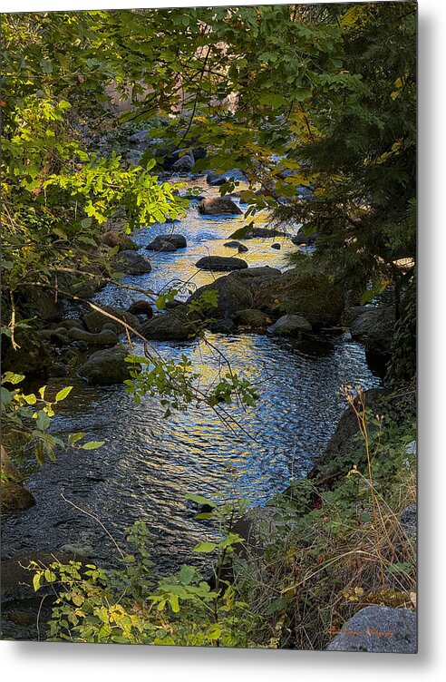 Creek - Metal Print