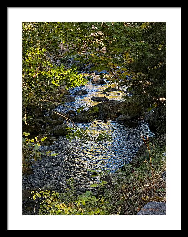 Creek - Framed Print