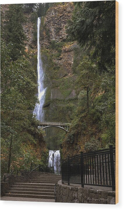 Different view Multnomah Falls - Wood Print