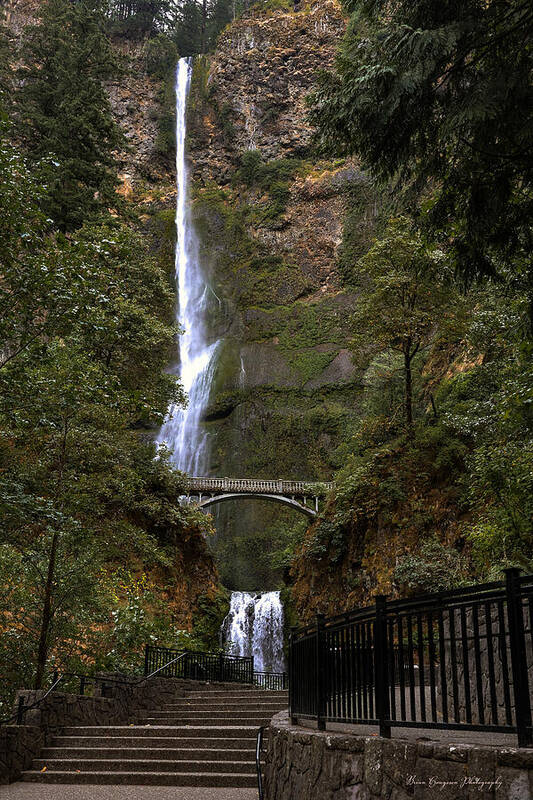 Different view Multnomah Falls - Art Print