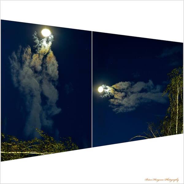 Different views - Art Print