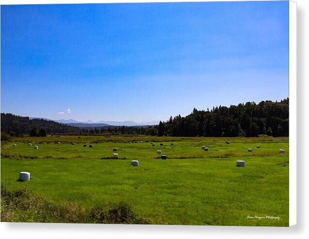 Farming - Canvas Print