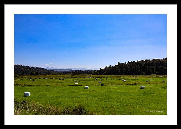 Farming - Framed Print