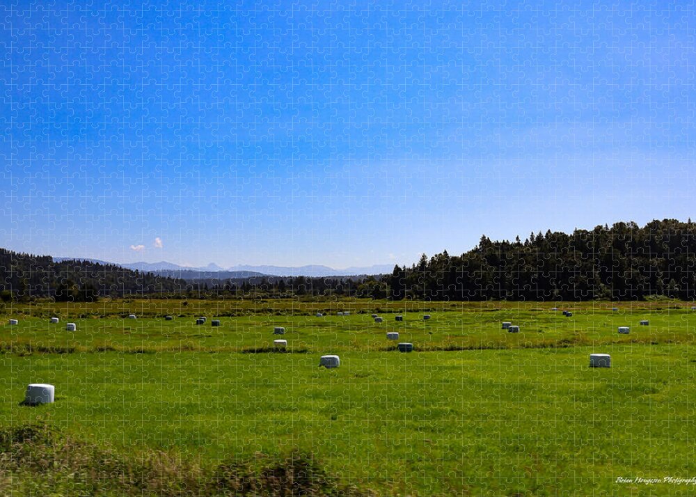Farming - Puzzle