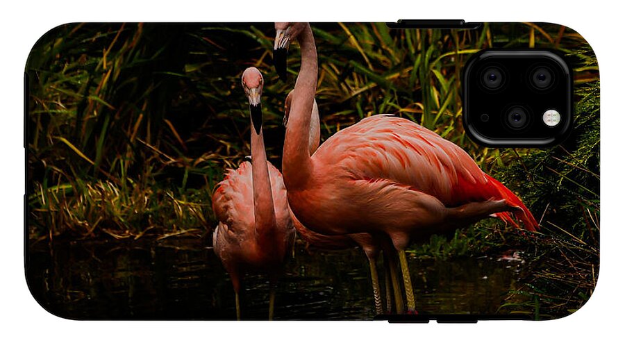 Flamingos by a Pond - Phone Case