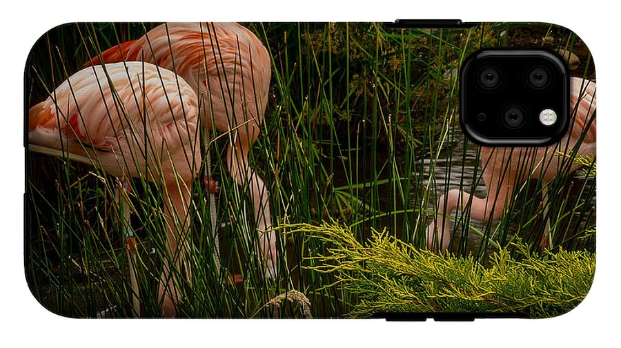 Flamingos drinking - Phone Case