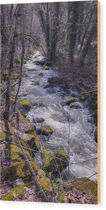 Flowing river - Wood Print