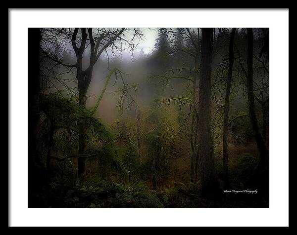 Fog - Framed Print