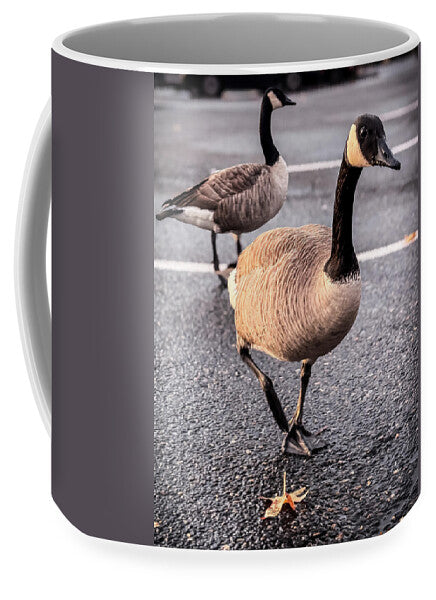 Geese in the parking lot - Mug