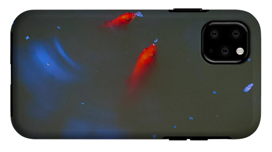 Gold fish eating - Phone Case