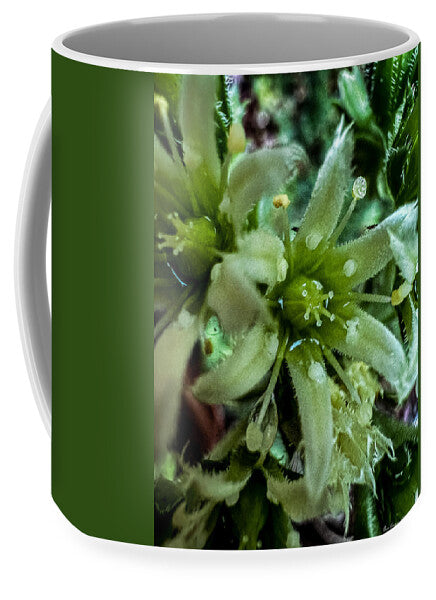 Green bloom - Mug