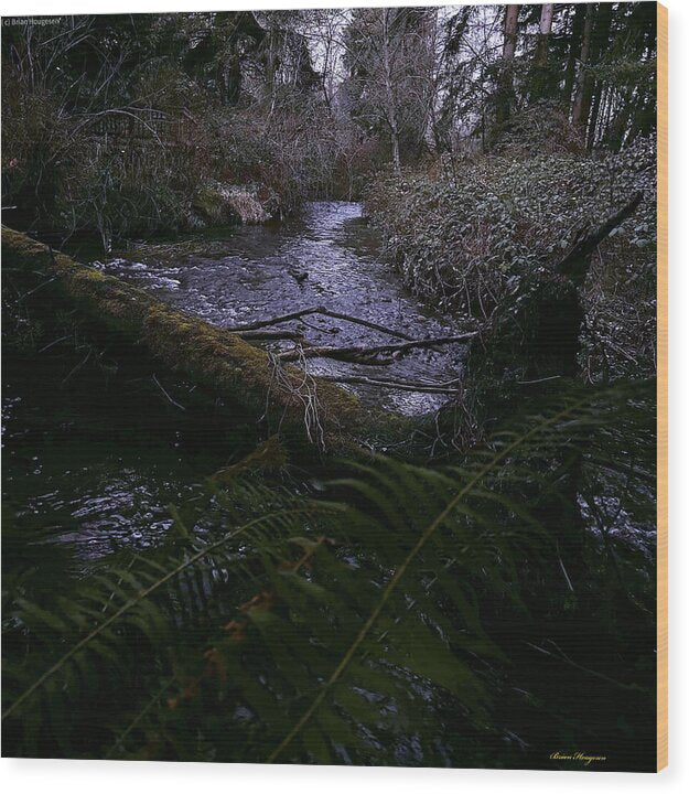 Moss-Covered Tranquil Stream - Wood Print