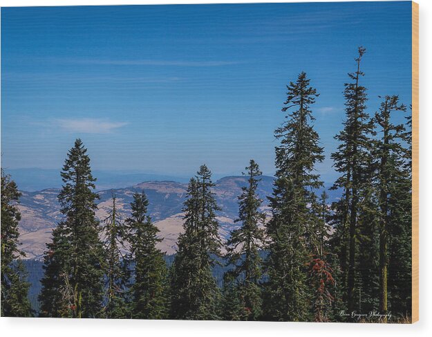 Mt Shasta 3 - Wood Print