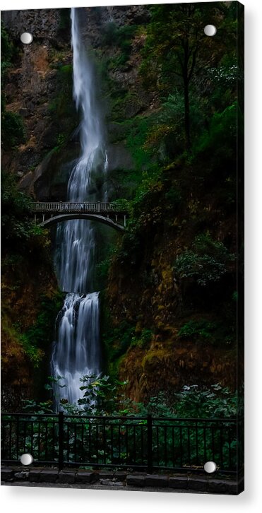 Multnomah Falls - Acrylic Print