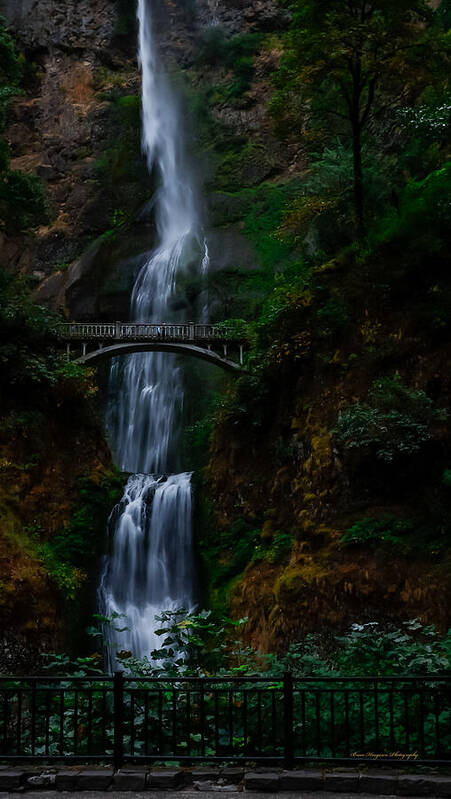 Multnomah Falls - Art Print