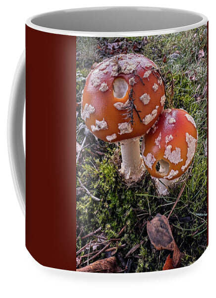 Mushrooms - Mug