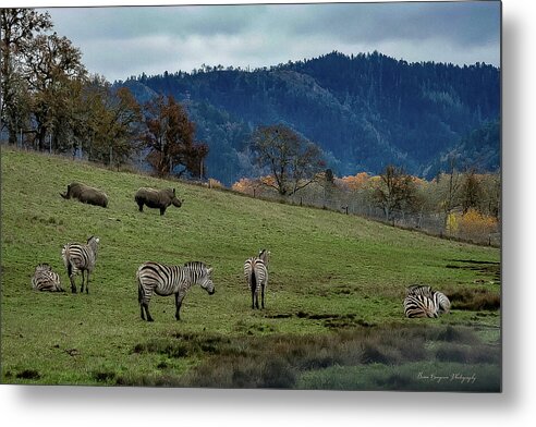 On the range - Metal Print