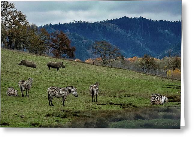 On the range - Greeting Card