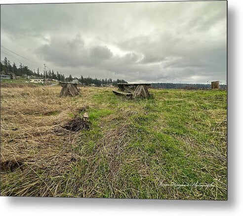 Park - Metal Print