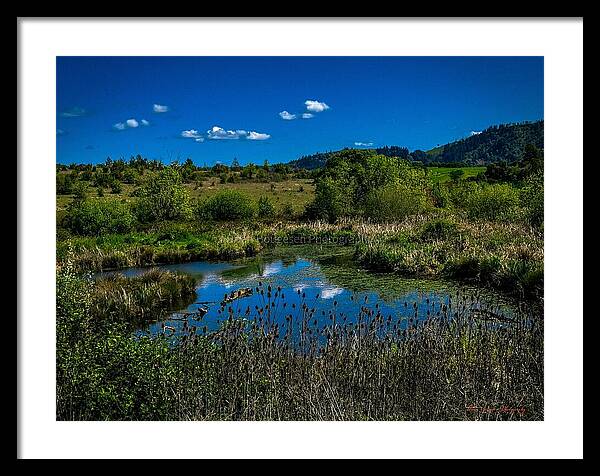 Refuge in the wild - Framed Print