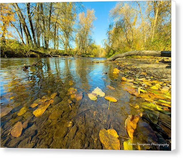 Serene Autumn Creek Landscape - Canvas Print
