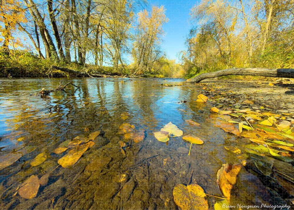 Serene Autumn Creek Landscape - Puzzle
