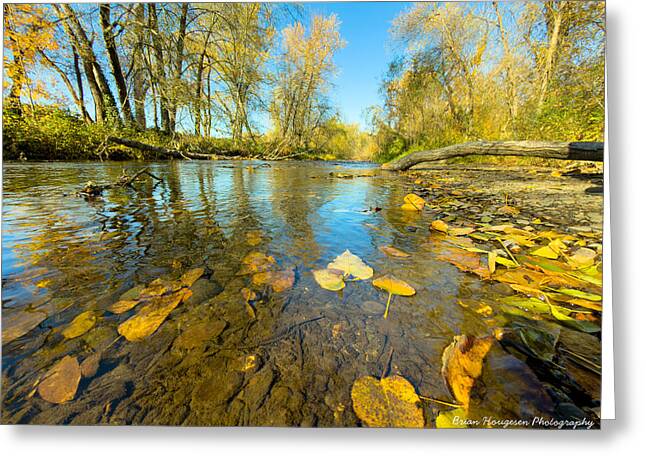 Serene Autumn Creek Landscape - Greeting Card