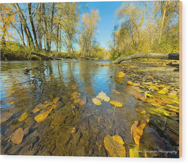 Serene Autumn Creek Landscape - Wood Print