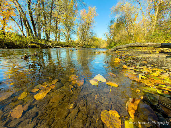 Serene Autumn Creek Landscape - Art Print